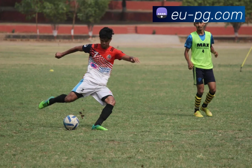 pg模拟器发展历程